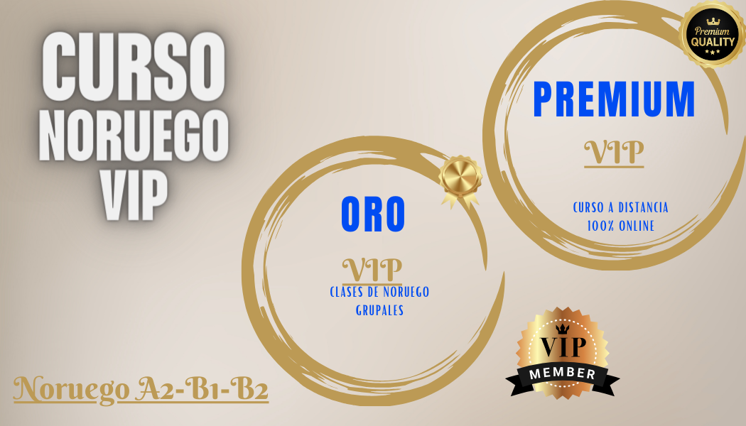 curso noruego VIP